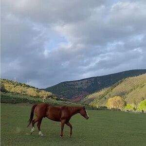 Meet your Posher, Sameera